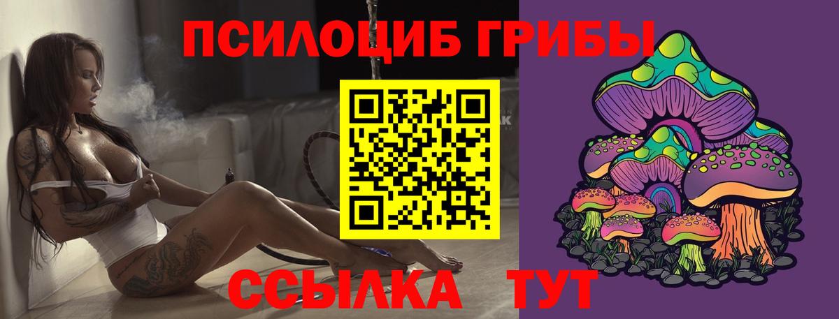 Галлюциногенные грибы Psilocybe Лесосибирск